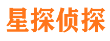 施甸侦探